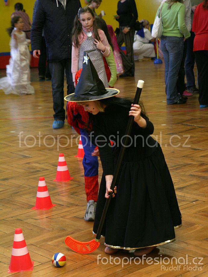 2008_02_03_1385.JPG - Foto: Rudolf Flachs 
www.fotoprofesional.cz