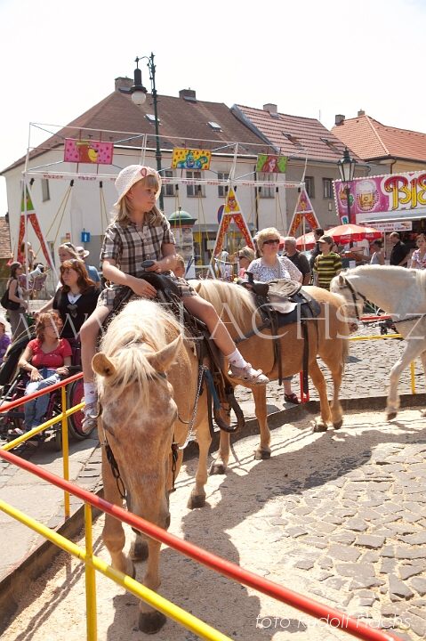 2010_06_27_8454.jpg - www.flachs.cz