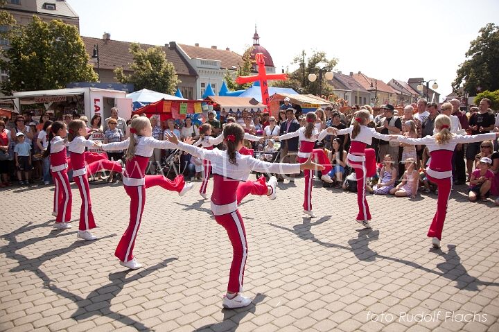 2010_06_27_8553.jpg - www.flachs.cz