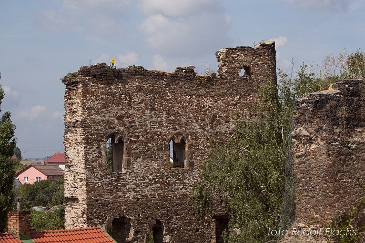 2010_08_10_7973.jpg - www.flachs.cz