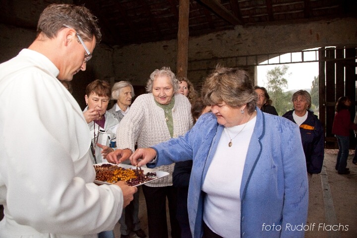 2010_09_01_0275.jpg - www.flachs.cz