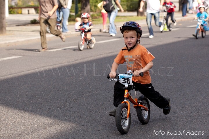 2010_09_11_1907.jpg - www.flachs.cz