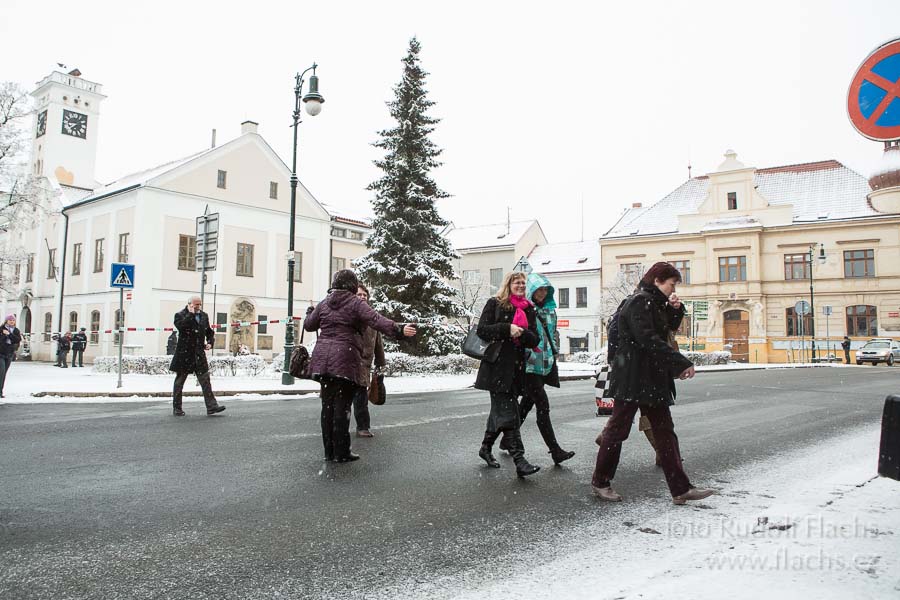 2014_01_22_7467.jpg - www.flachs.cz