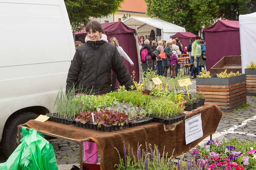 2014_05_17_1413.jpg - www.flachs.cz