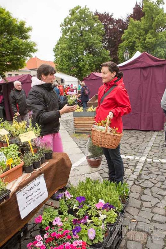 2014_05_17_1477.jpg - www.flachs.cz