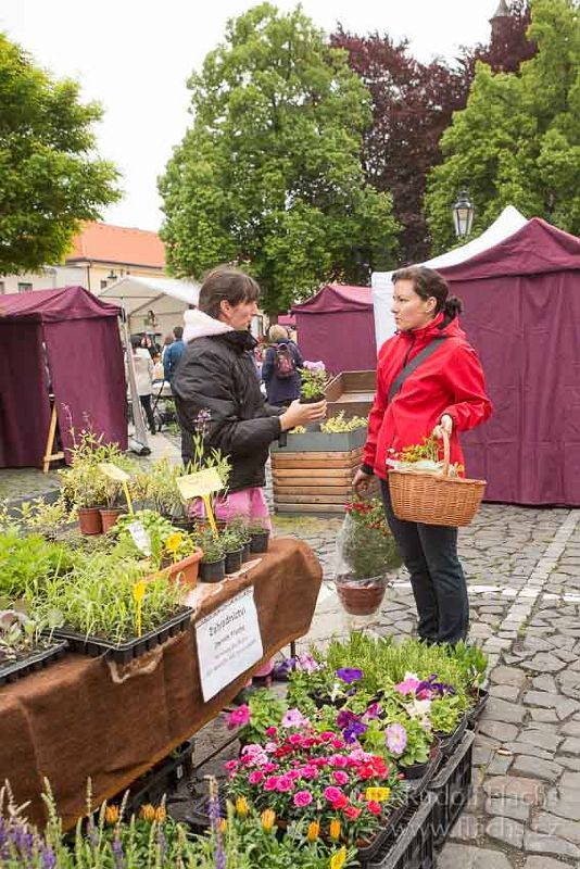 2014_05_17_1485.jpg - www.flachs.cz