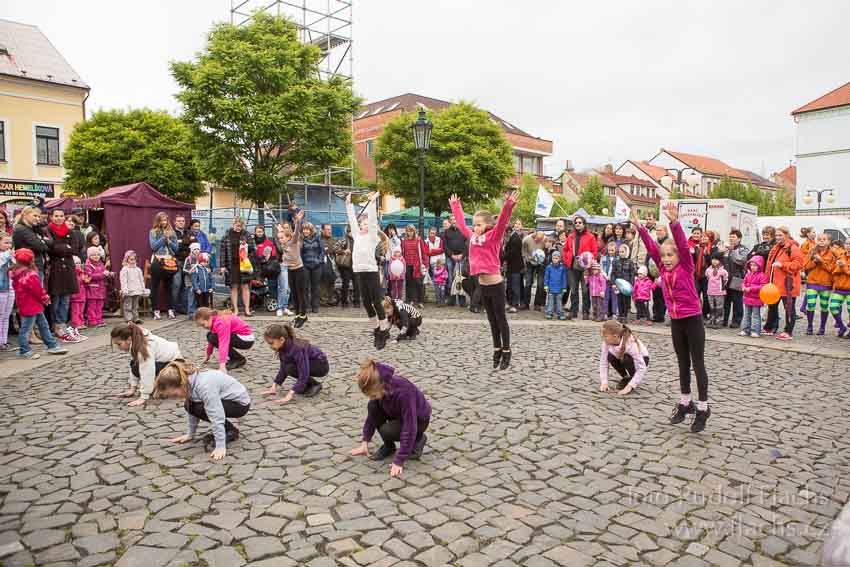 2014_05_17_1504.jpg - www.flachs.cz