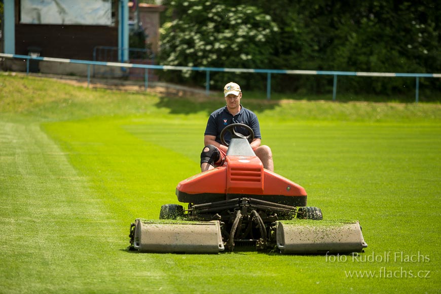 2014_05_31_6683.jpg - www.flachs.cz