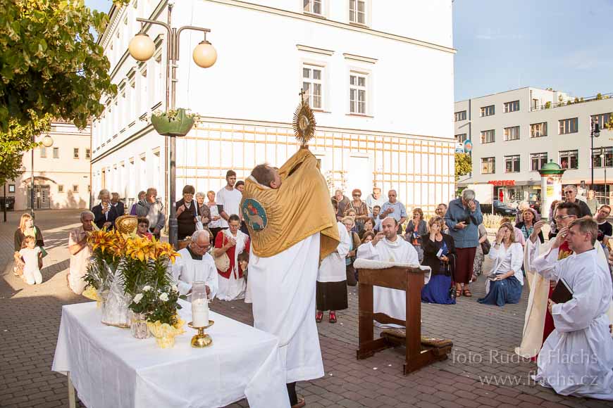 2014_06_19_9893.jpg - www.flachs.cz