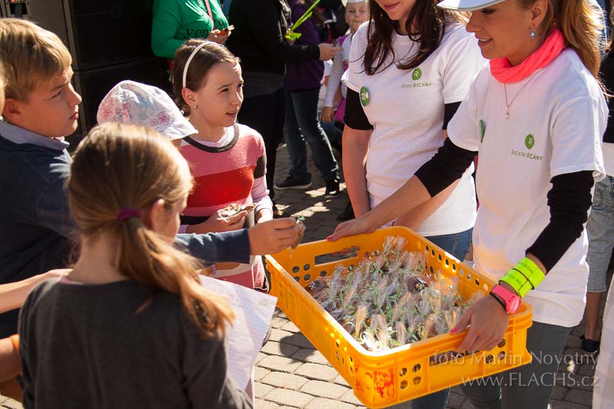 2014_09_28_4995.jpg - www.flachs.cz