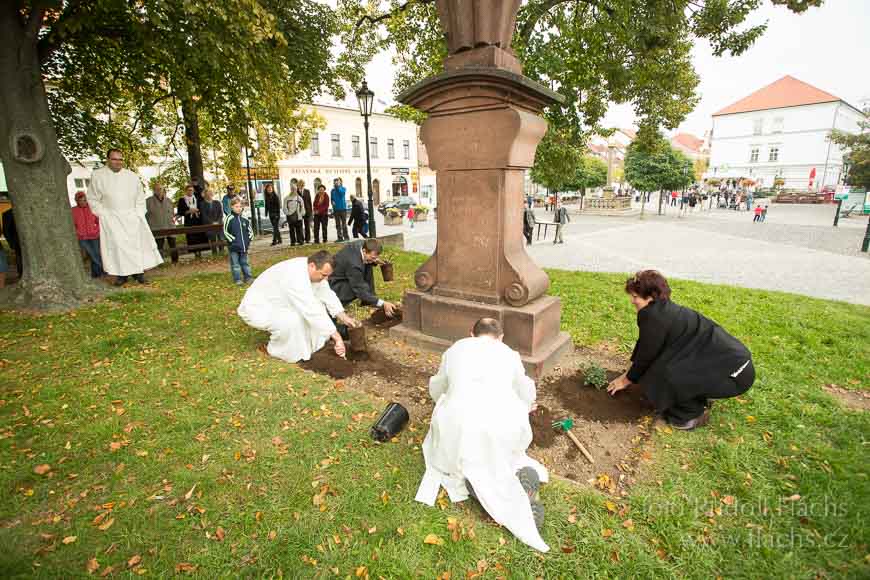 2014_10_05_1458.jpg - www.flachs.cz