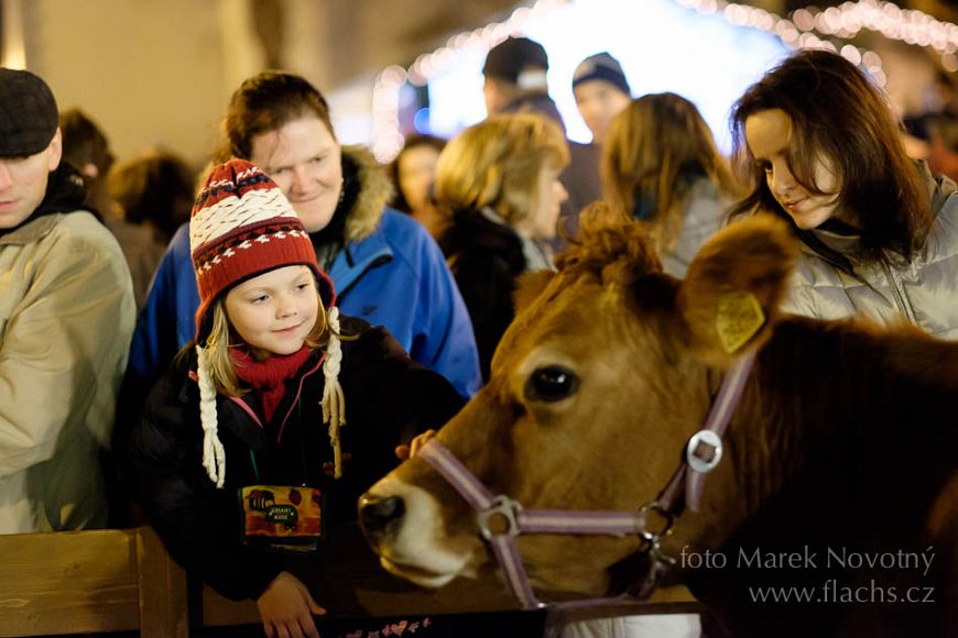 2014_12_23_2888.jpg - www.flachs.cz