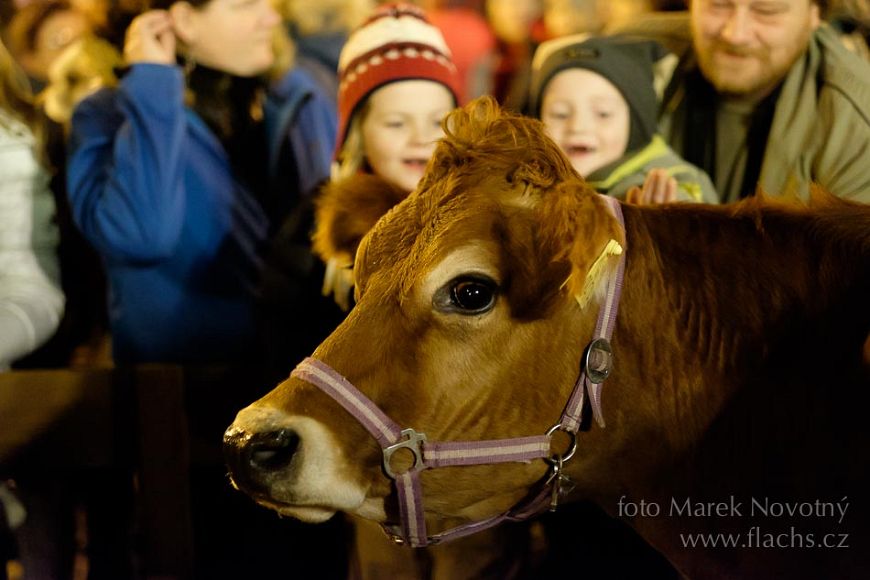 2014_12_23_2894.jpg - www.flachs.cz