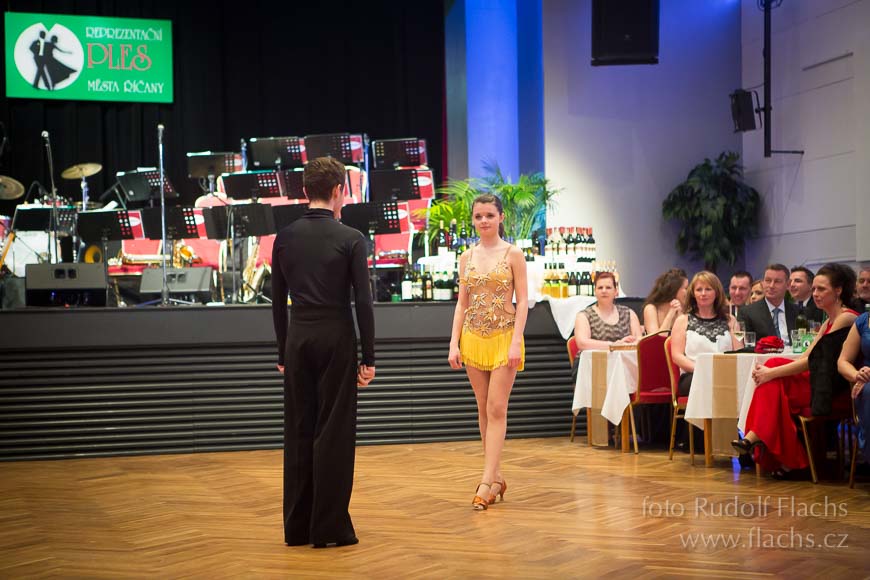 2015_02_28_5447.jpg - www.flachs.cz