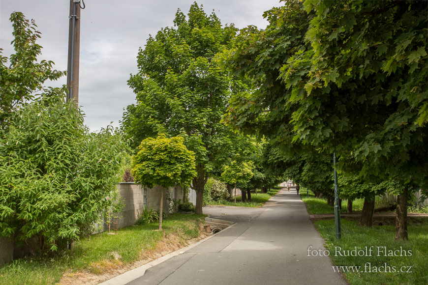 2015_06_01_1506-HDR.jpg