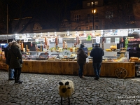 Fotografie Flachs Říčany - Masarykovo nám. 155/9 - Říčany fotograf  Rudolf Flachs - www.flachs.cz tel. 602 341 972  záběr číslo: 2024 12 23 5722