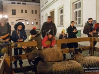 Fotografie Flachs Říčany - Masarykovo nám. 155/9 - Říčany fotograf  Rudolf Flachs - www.flachs.cz tel. 602 341 972  záběr číslo: 2024 12 23 6116