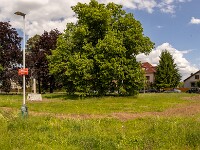 2025_05_25_9466-Pano