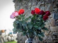 2026_06_08_7887